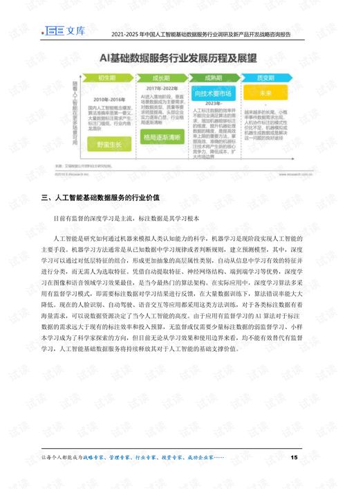 2021 2025年中国人工智能基础数据服务行业调研及新产品开发战略咨询报告.pdf